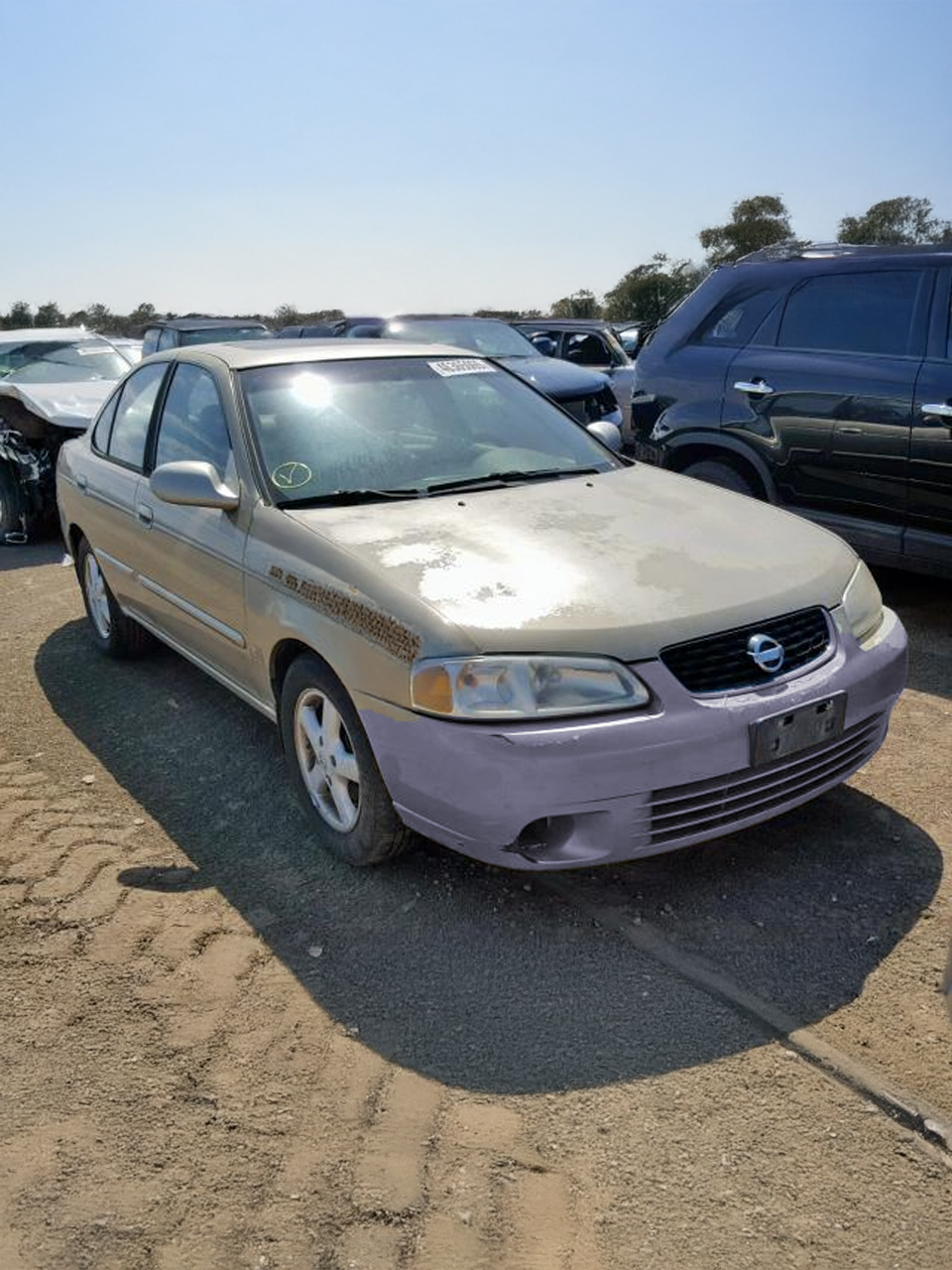 Antes de la Pintura 2